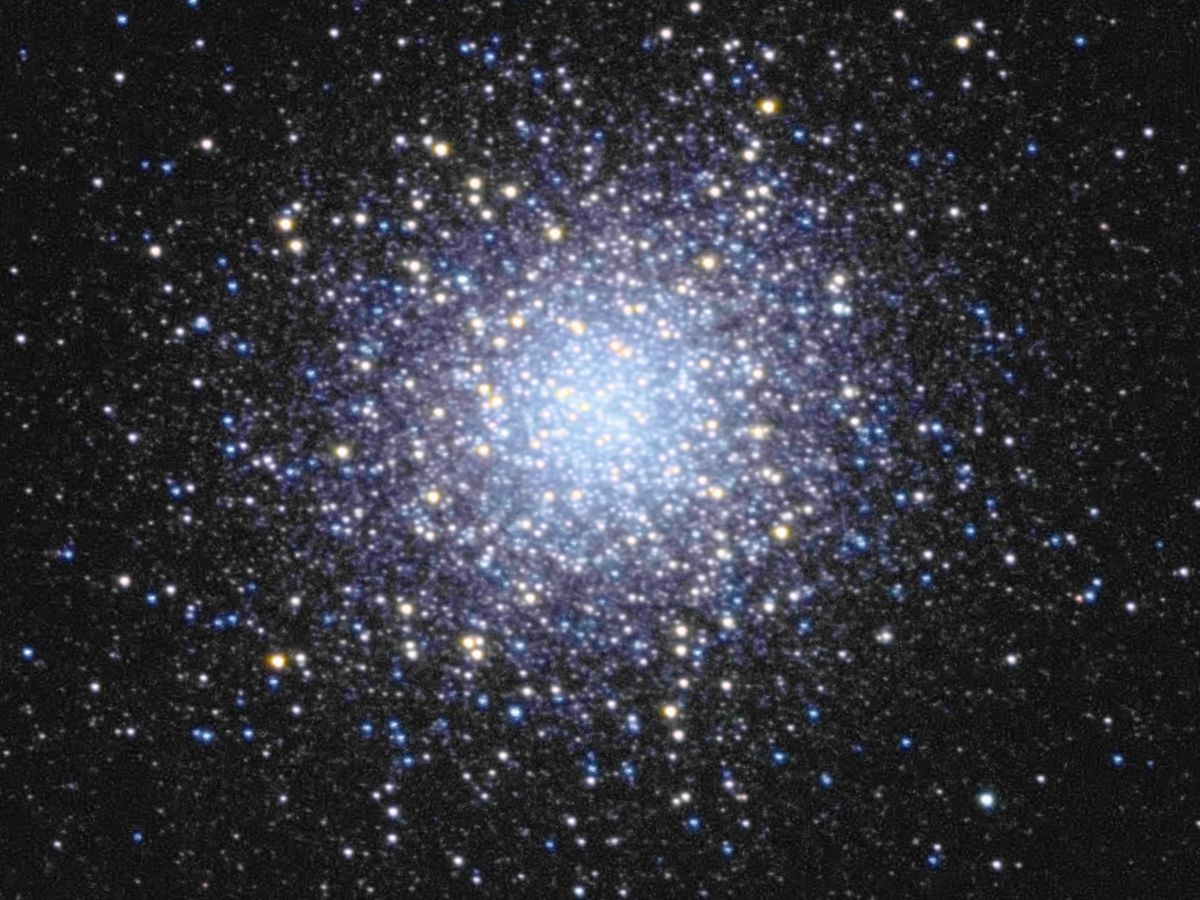 M13