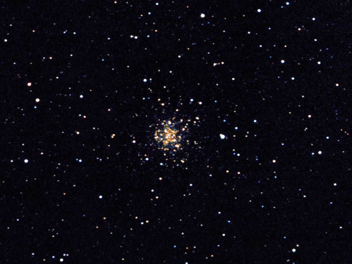 M56