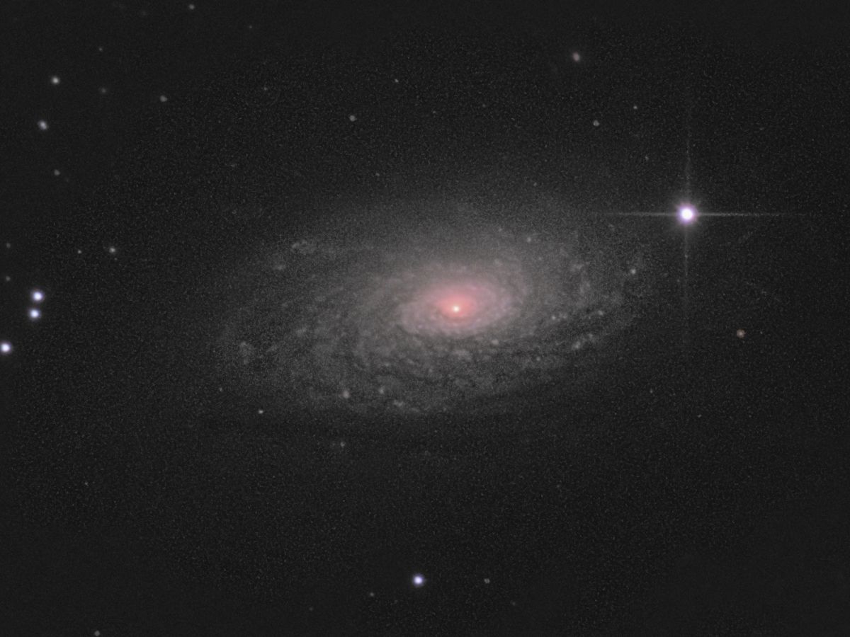 M63