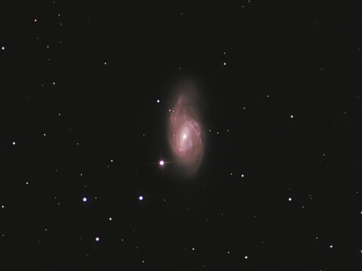 M66