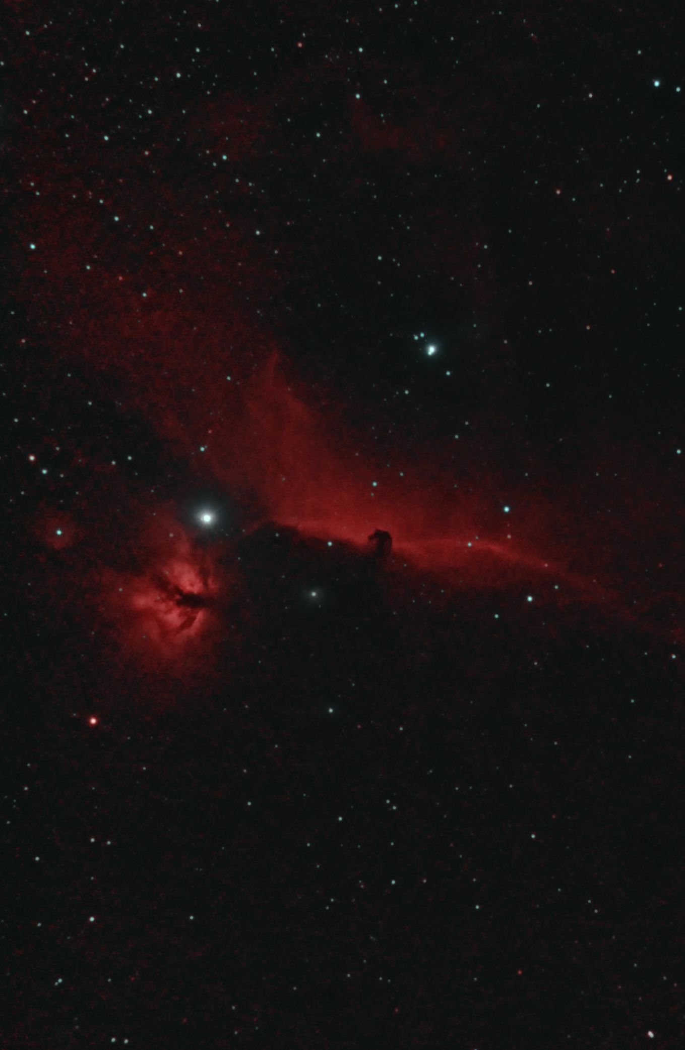 Flame and Horsehead Nebulas