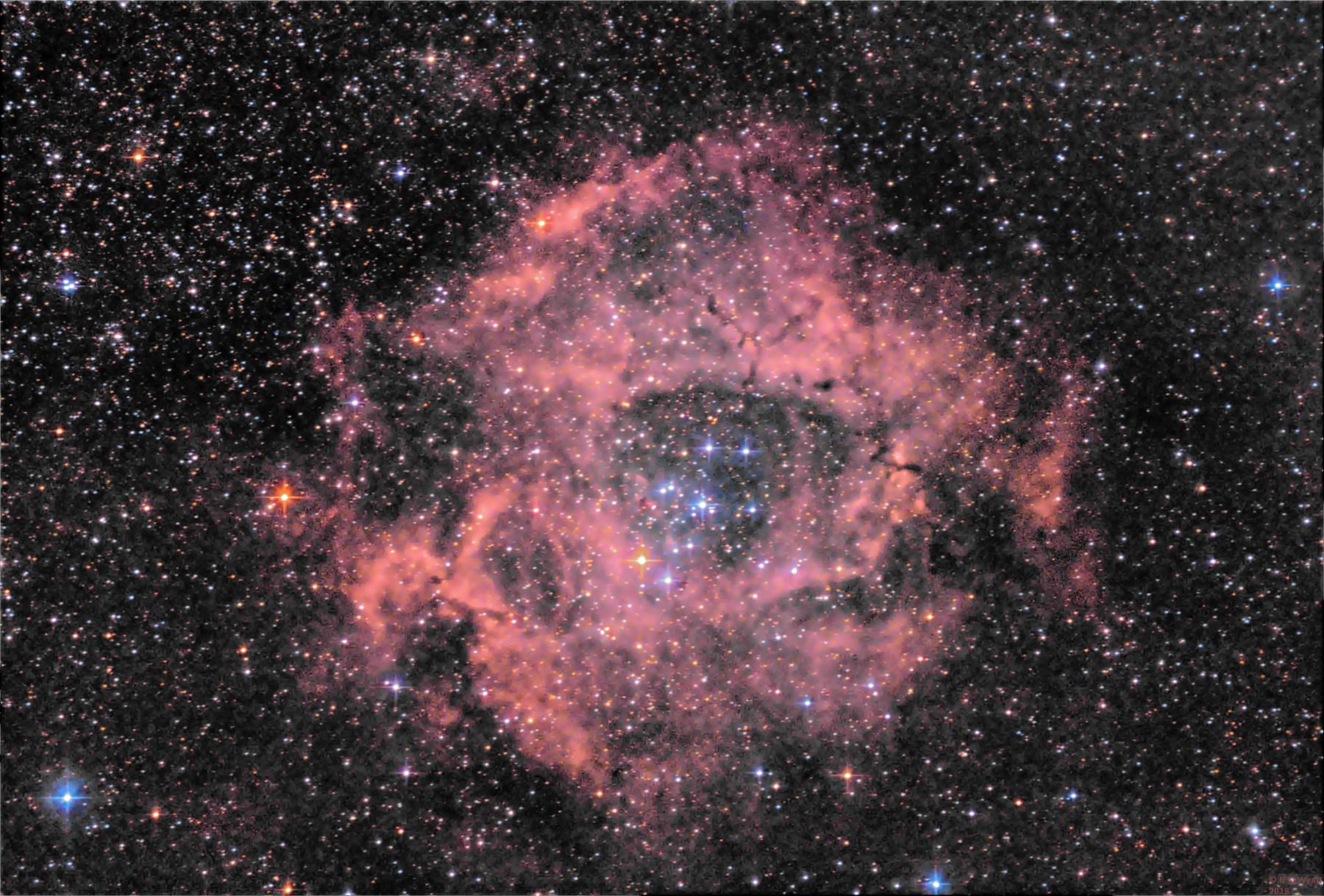 Rosette Nebula