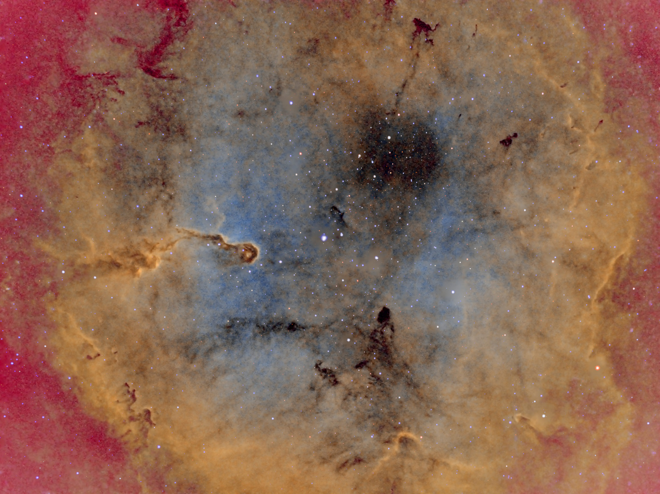 Elephant's Trunk Nebula